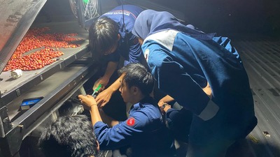 Mahasiswa UMM Kembangkan Smart Farming untuk Petani Kopi