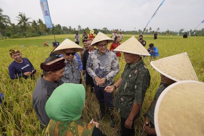 UMM Gandeng Kemendiktisaintek, Jadikan Bondowoso Percontohan Nasional Pertanian Organik