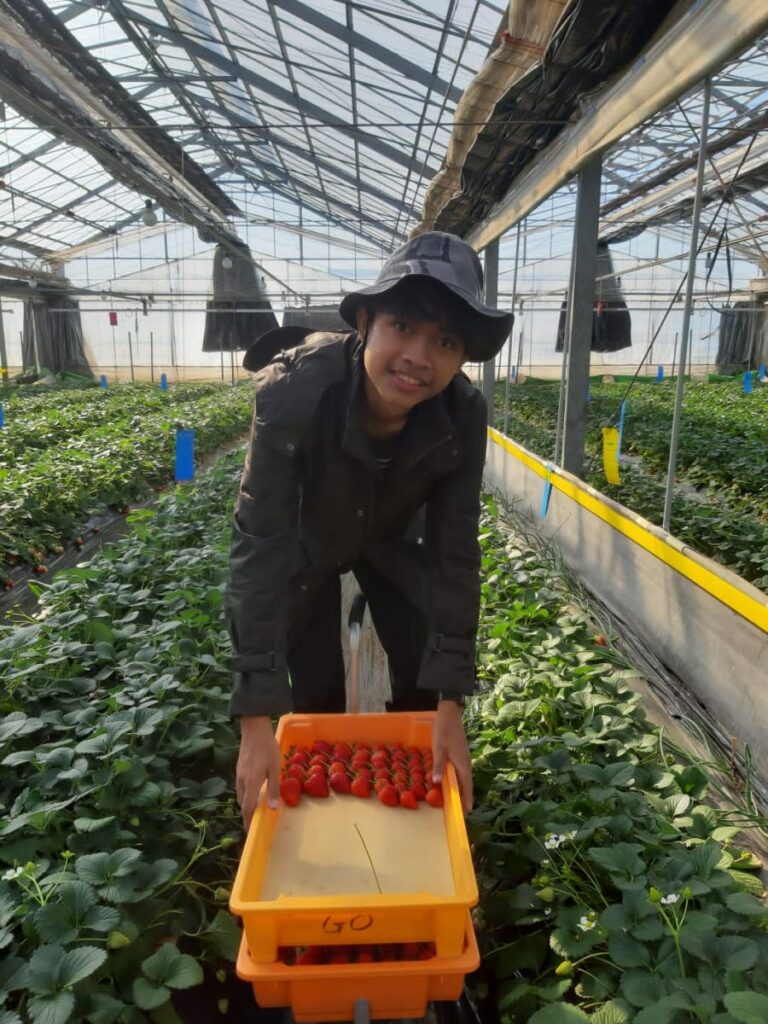 Agribisnis UMM Kirim Mahasiswa Magang ke Jepang