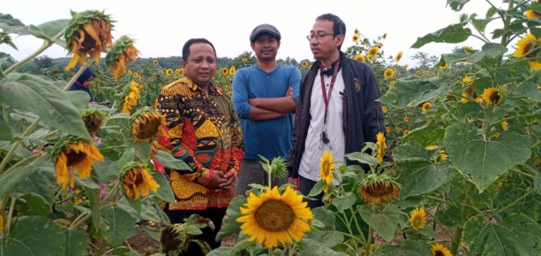 Dosen FAI UMM Berdayakan Masyarakat melalui Wisata Taman Bunga Banjarsekar