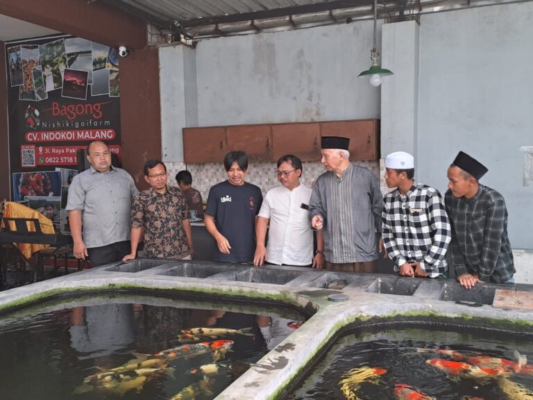 Dosen UMM Ciptakan Pakan Koi dengan Harga Terjangkau