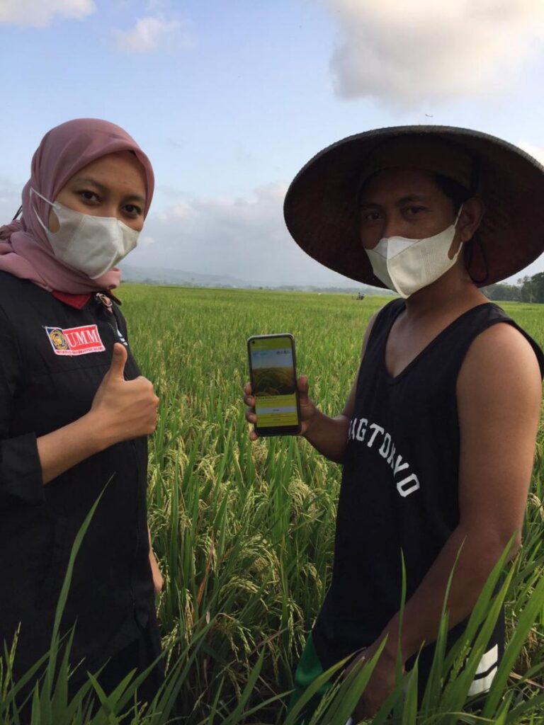 E-Rice Detector: Aplikasi Pendeteksi Penyakit Padi Ciptaan Mahasiswa UMM
