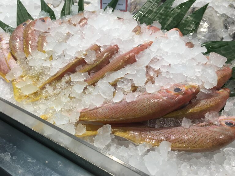 Gizi Ikan Beku Menurun? Begini Penjelasan Dosen ITP UMM