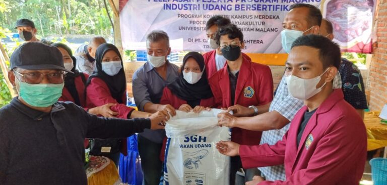Magang Kelas Udang UMM Lahirkan Profesional dan Wirausahawan