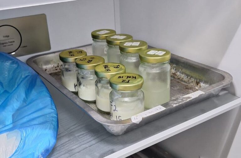 Mahasiswa UMM Ciptakan Krim Anti Kerut Kulit Untuk Segala Usia