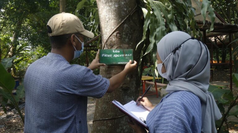 Peluang Usaha Baru, Prodi Kehutanan UMM Buka CoE Essential Oil