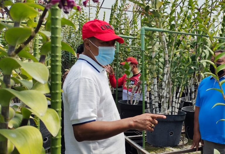 Prodi Pendidikan Biologi UMM Resmikan Sekolah Unggul Budidaya dan Pemasaran Anggrek