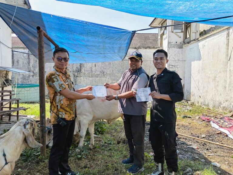 UMM Kirim Sapi sebagai Hewan Kurban di Lapas Malang