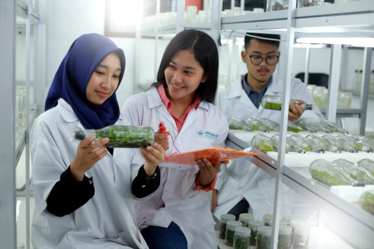 UMM Peringkat Pertama PTS Penerima Pendanaan PKM se-Indonesia