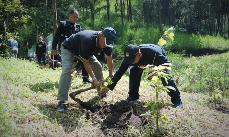UMM Tanam Pohon dan Buka Jalan Warga di Pujon Hill
