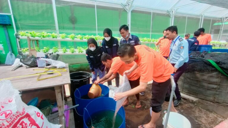 Bantu Warga Binaan Lapas, Mahasiswa UMM Ajari Budidaya Ikan Lele berbasis RAS
