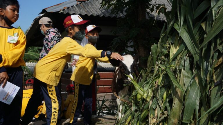Bermain dan Belajar Asyik di Edupark FPP UMM