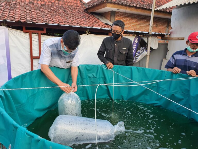 Berdayakan Masyarakat Parangargo Lewat Budidaya Ikan Sistem Biona