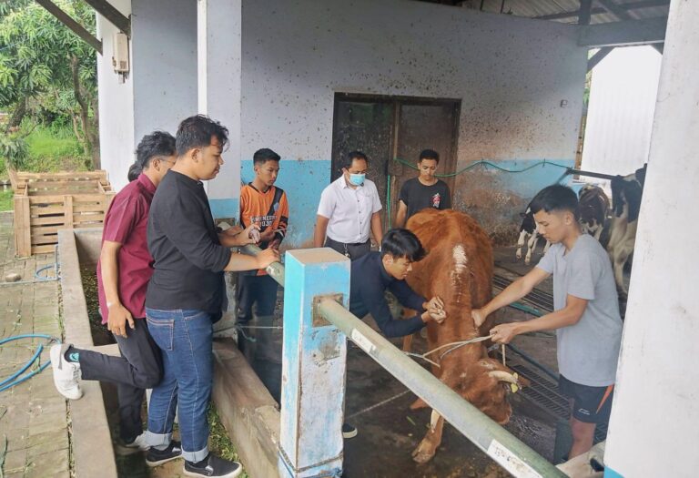 Dari Limbah Bir hingga Biogas, Ini Hasil Pengabdian Tim Dosen UMM