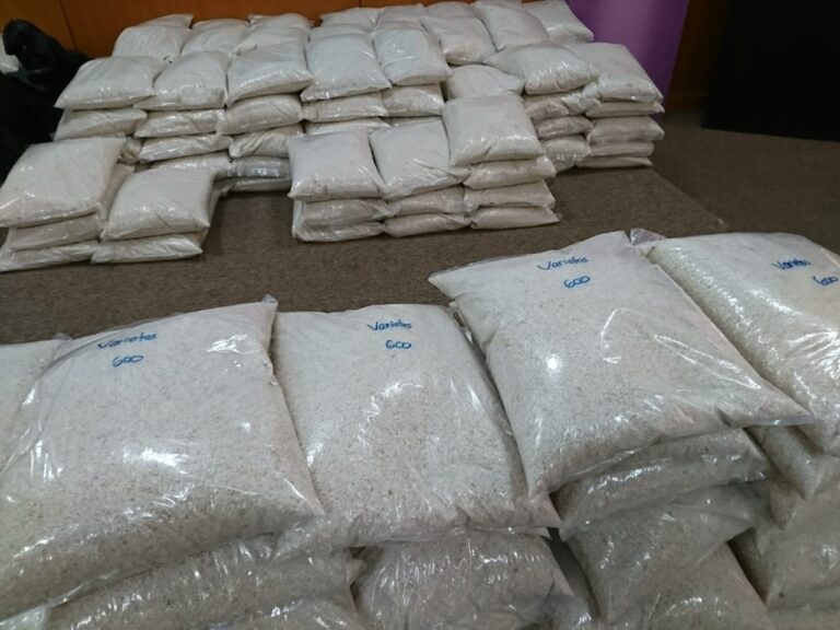 FPP UMM Mulai Pasarkan Beras Organik Varietas Unggul