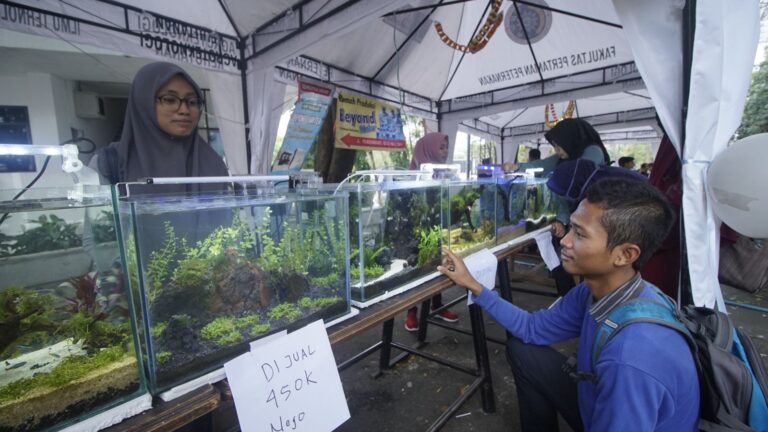 Festival Produk Perikanan UMM, Cetak Wirausaha Muda Kreatif