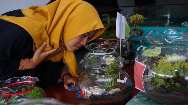 Hasil Karya Tugas Kuliah, Mahasiswa Agronomi Pamerkan Tanaman dalam Pot