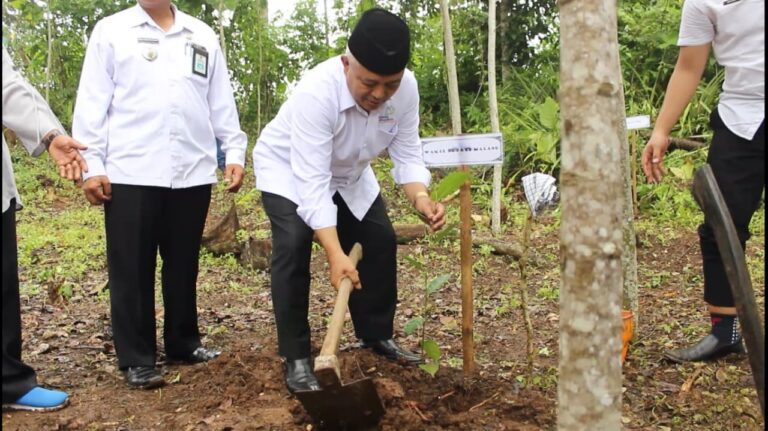 Helat Gema Desa, Wakil Bupati Malang Ikut Tanam Pohon di Lembah Bidadari