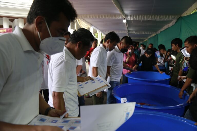 Juri Malang Koi Show di UMM Beberkan Alasan Ikan Koi Mahal
