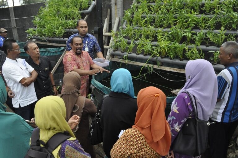 Karyawan Purnatugas Dididik Berwirausaha Tanaman Organik
