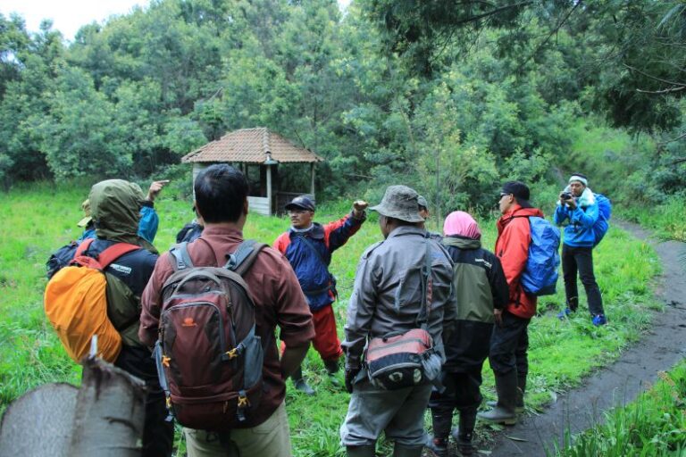 Kehutanan UMM Revitalisasi Hutan Lindung Bromo-Tengger-Semeru