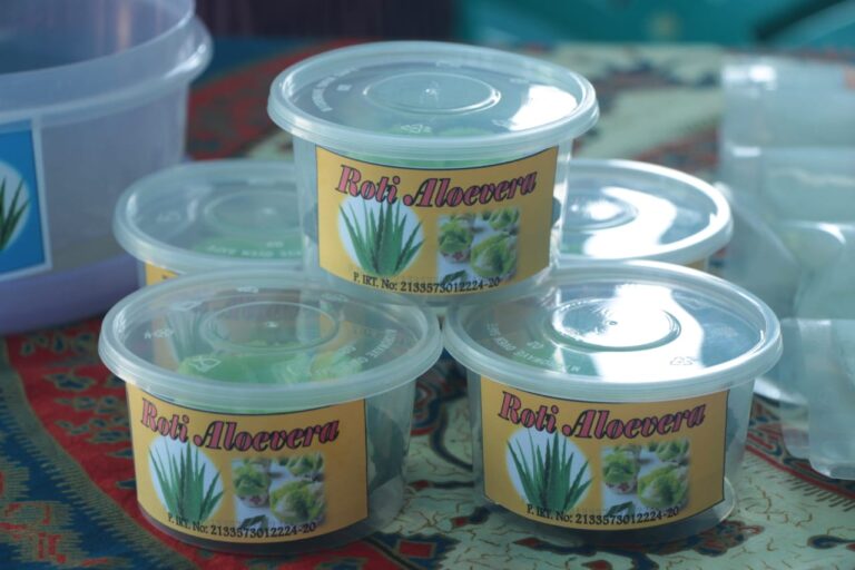 Keren! Dosen UMM Inisiasi Kampung Aloevera Malang