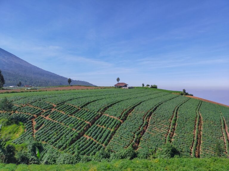 Mahasiswa UMM Inisiasi Wisata Alam Brakseng