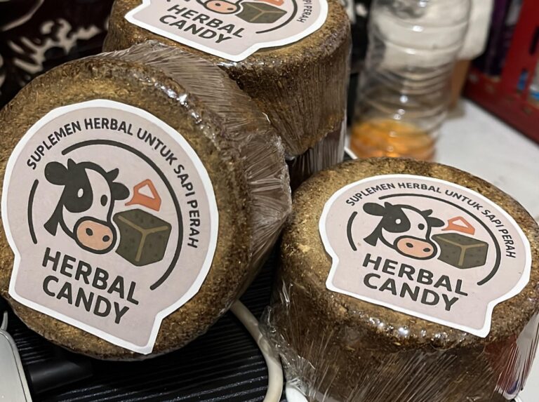 Mahasiswa UMM Sulap Ampas Jamu jadi Herbal Candy