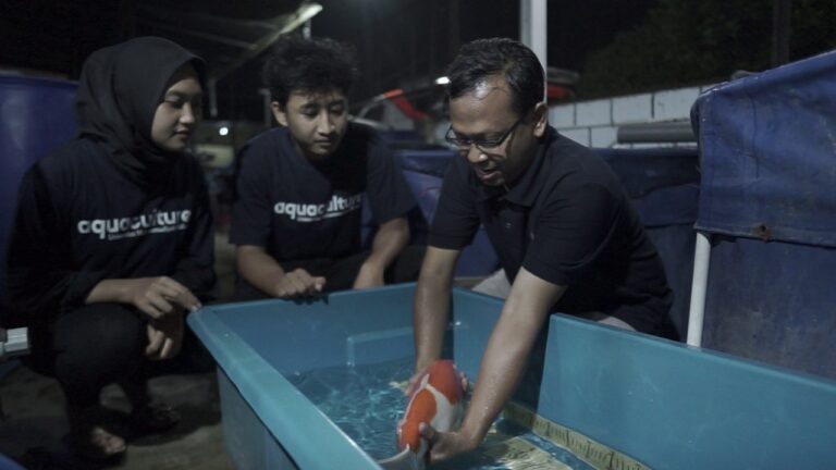 Malang Koi Show, Kontes Koi Nasional Garapan UMM