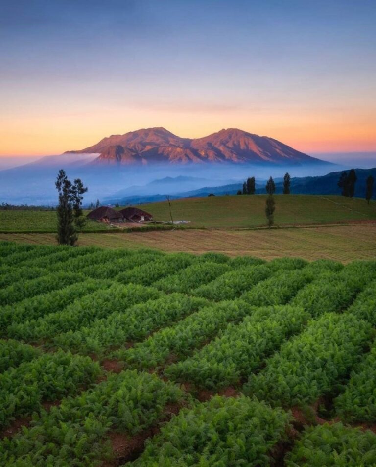 Praktikum Komunikasi Fokus Destinations Branding Desa Malang Raya