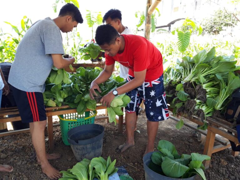 Sensasi Asik Berkebun Ala Agribisnis Corner UMM
