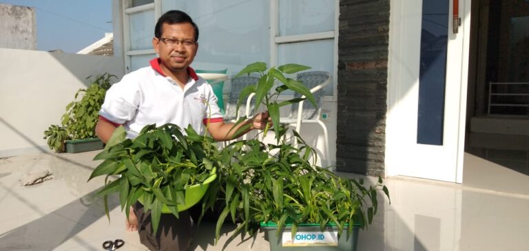 Temuan Dosen UMM Ini Bikin Masyarakat Urban Bisa Tanam Sayur dan Ternak Ikan Sekaligus di Lahan Sempit
