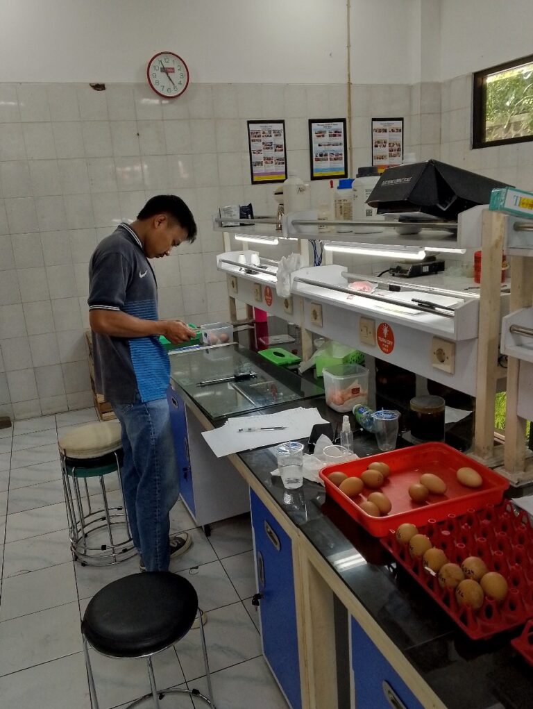 Tim UMM Sulap Daun Mangga Jadi Pelapis Telur, Awet Tanpa Ubah Rasa
