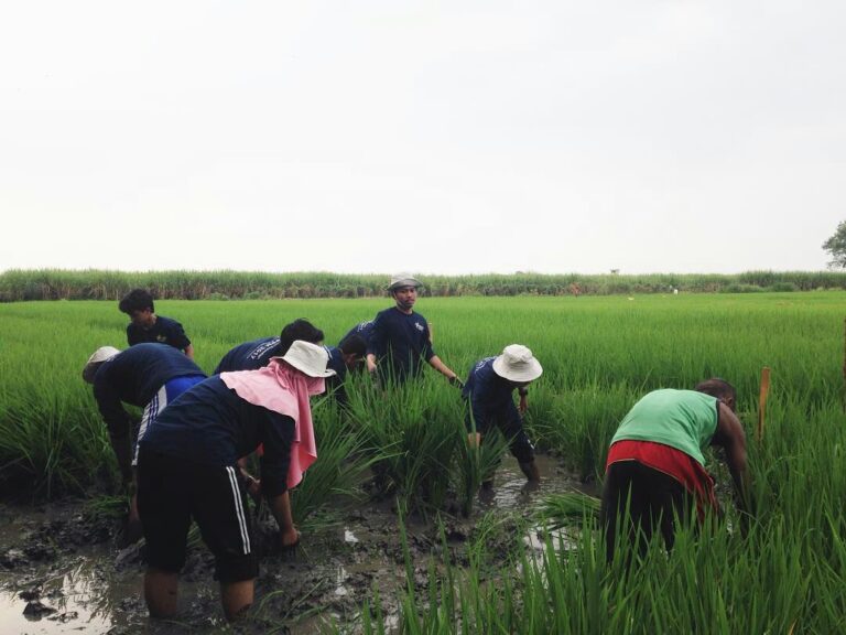 UMM Dampingi Desa Tertinggal Melalui Smart Village