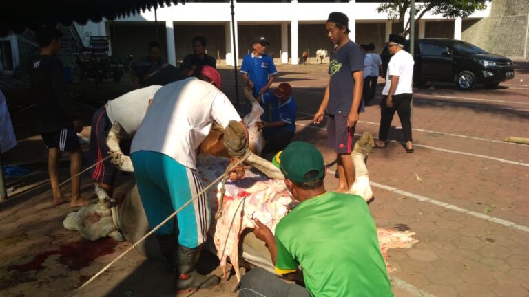 UMM Perhatikan Keamanan Pangan saat Berkurban