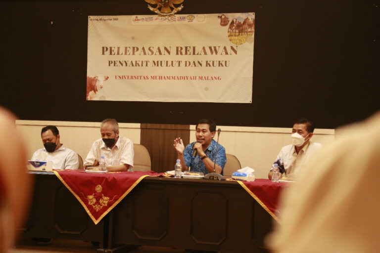 Puluhan Mahasiswa UMM Bantu Dinas Peternakan dan Kesehatan Hewan Kabupaten Malang Atasi PMK