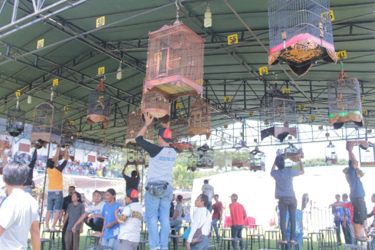 Lomba Kicau Burung Nasional di UMM, Antusias Diikuti Ribuan Peserta Se-Indonesia