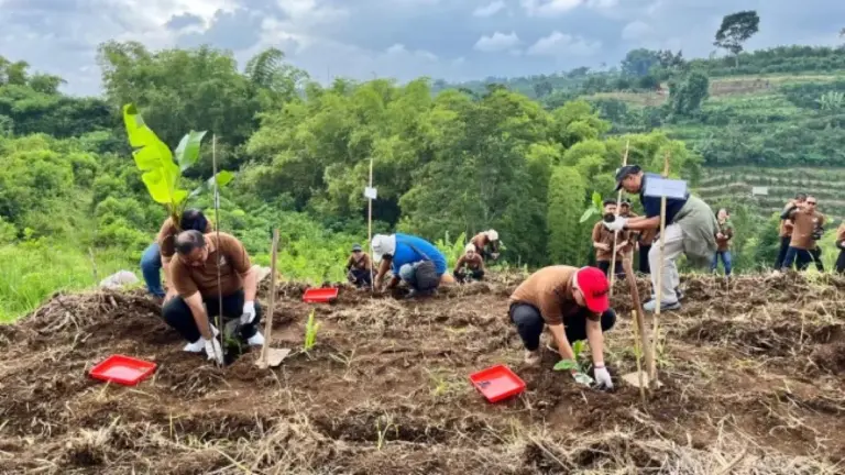 HUT ke-6, Rayz UMM Hotel Malang Hijaukan 25 Hektare Lahan Lewat Hutan Reborn
