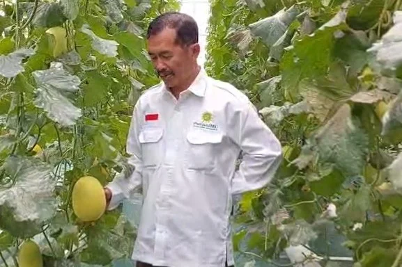 Profesor Penggerak UMM Sulap Lahan Desa di Pasuruan Jadi Sentra Smart Farming