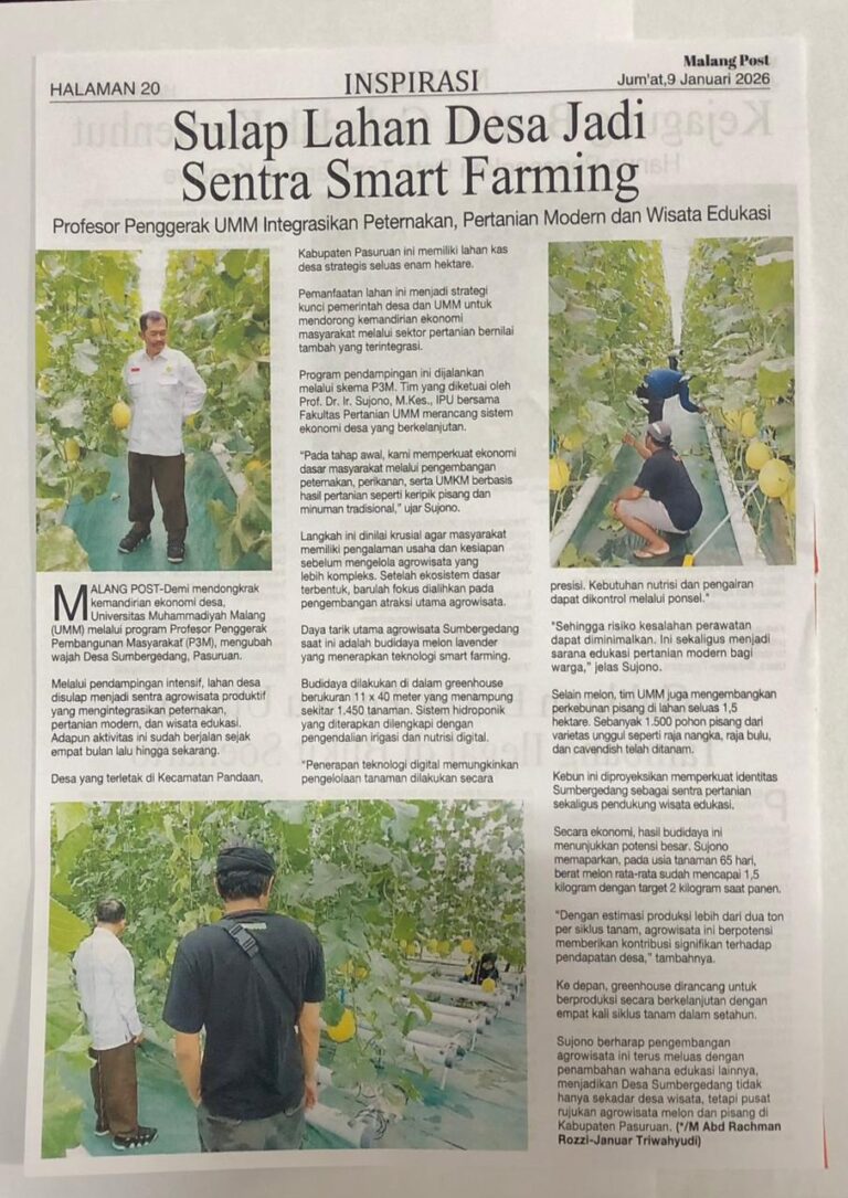 Sulap Lahan Desa Jadi Sentra Smart Farming