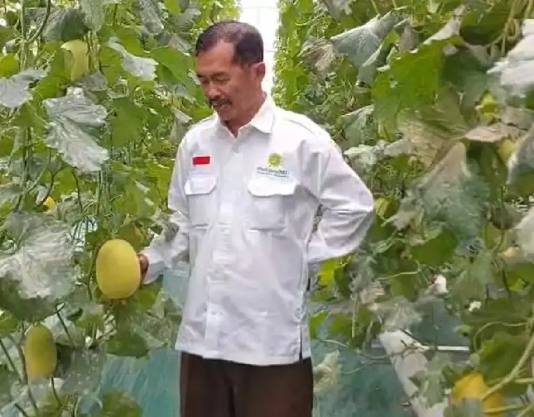 UMM Hadirkan Sentra Smart Farming di Desa Sumbergedang Pasuruan melalui Program Profesor Penggerak