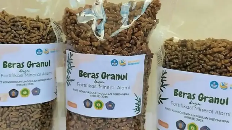 Beras Granul Inovasi Undana-UB-UMM, Penumpas Stunting di NTT