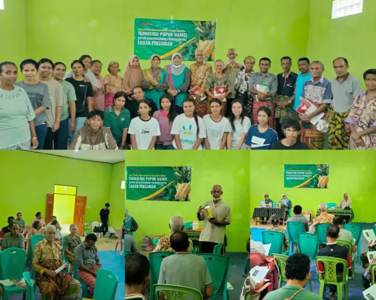 Kolaborasi UMM-Undana Berbagi Teknologi Pupuk Hayati di TTS, Dorong Produktivitas Lahan Kering