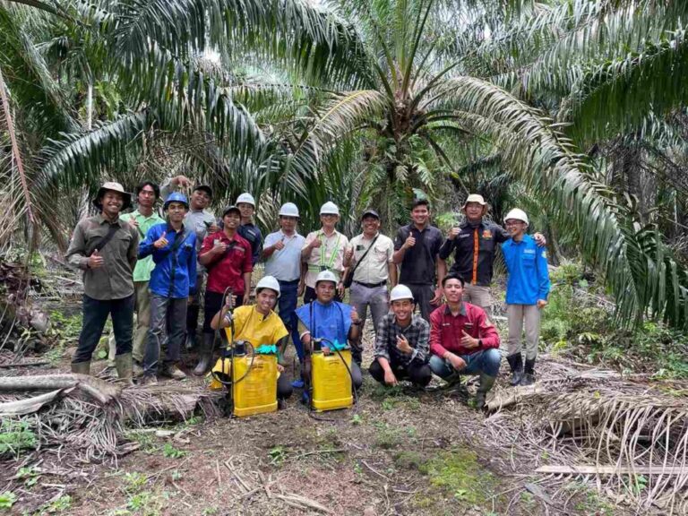 Berkat CoE Kelapa Sawit, Mahasiswa UMM Bawa Portofolio Eksklusif Masuk Dunia Industri