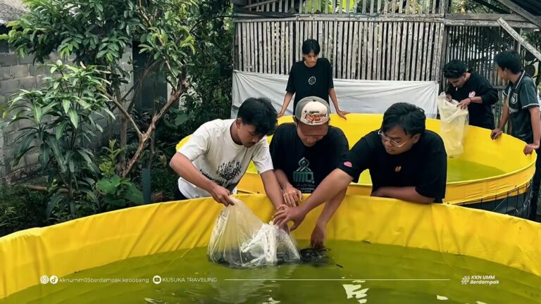Solusi Lahan Terbatas, Mahasiswa UMM Kenalkan Budidaya Bioflok Warga Desa Kebobang Kab Malang