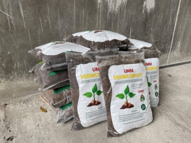 Daur Ulang 92 Persen Sampah Organik, UMM Buktikan Diri sang Pelopor Kampus Hijau
