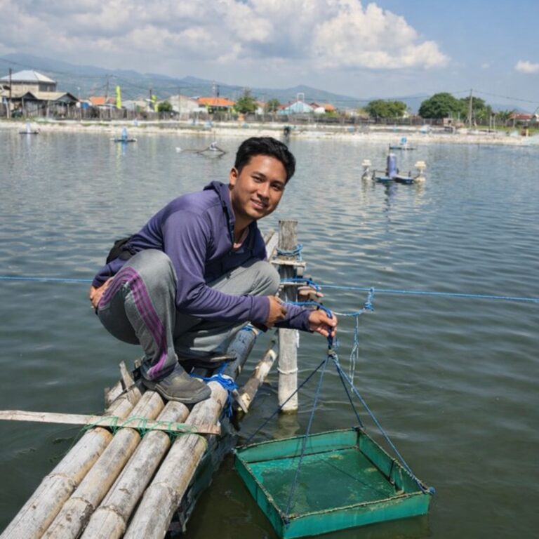 Kiprah Lulusan CoE UMM, Giyang Sukses Bangun Tambak Udang Sendiri