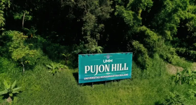 Dari Hutan yang Pulih, Mata Air Kembali Mengalir: Kiprah UMM Menjaga Kedaulatan Air di Pujon Hill