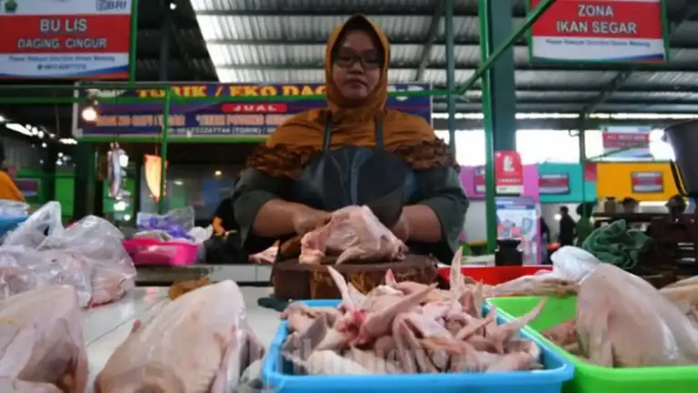 Berita Malang Raya Populer: Harga Telur-Ayam Efek MBG Libur, Kasus Petinggi KONI Naik Sidik
